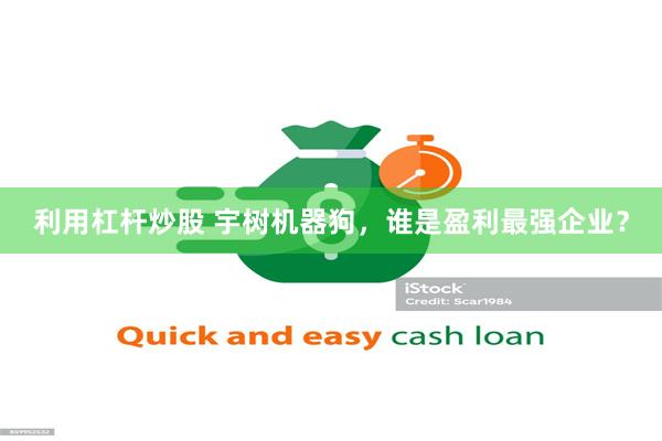 利用杠杆炒股 宇树机器狗,谁是盈利最强企业?